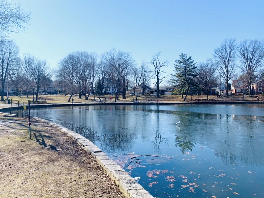 IMG_6986.jpg?type=w966