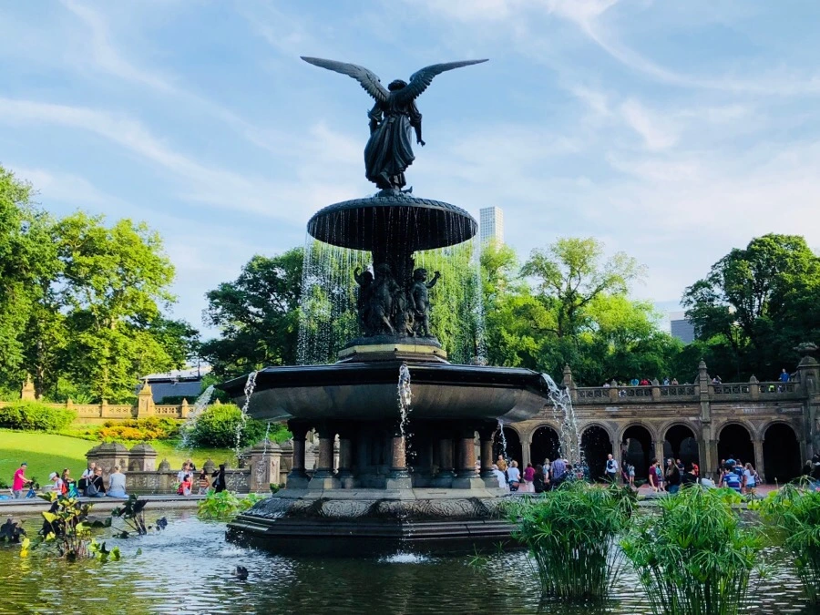 IMG_8772.jpg?type=w966