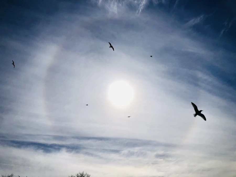 IMG_3197.jpg?type=w966