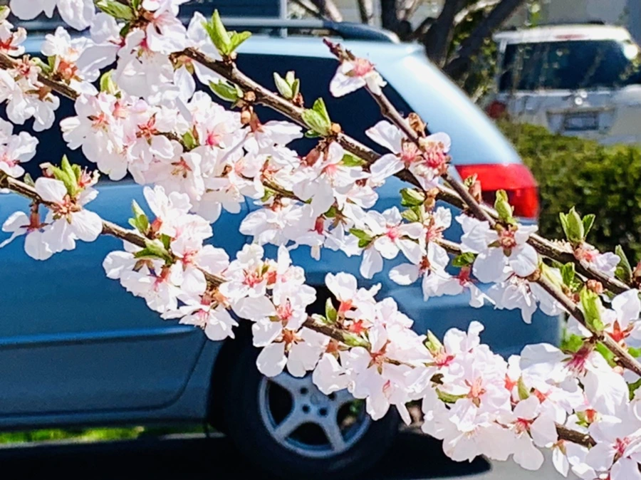 IMG_8063.jpg?type=w966