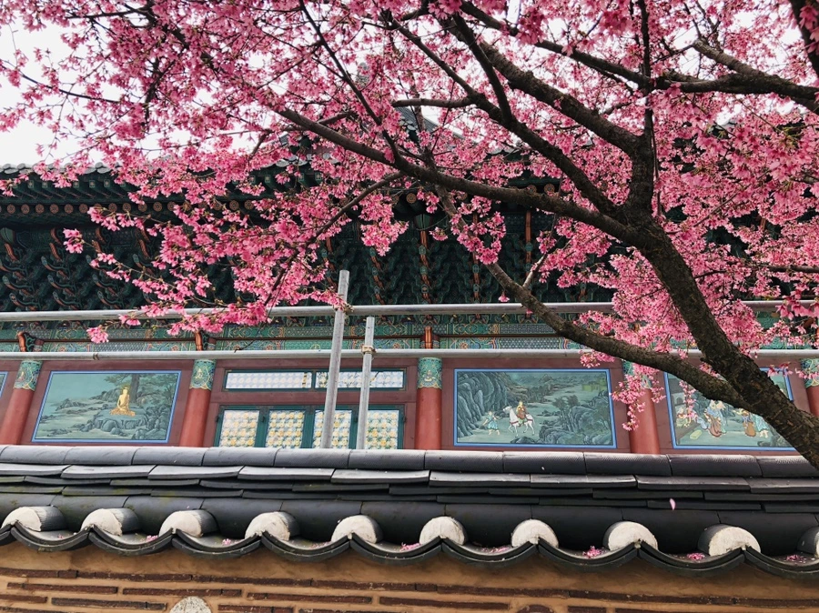 IMG_2580.jpg?type=w966