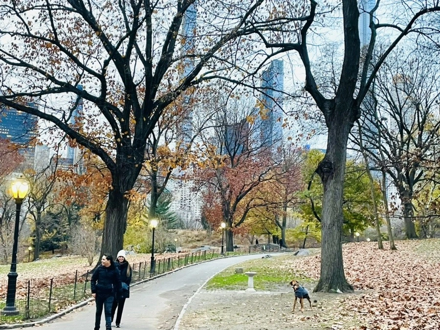 8acrhI6uq7eLO4_Zu83Wq6WHkDY