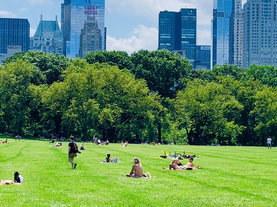 IMG_5380.jpg?type=w966