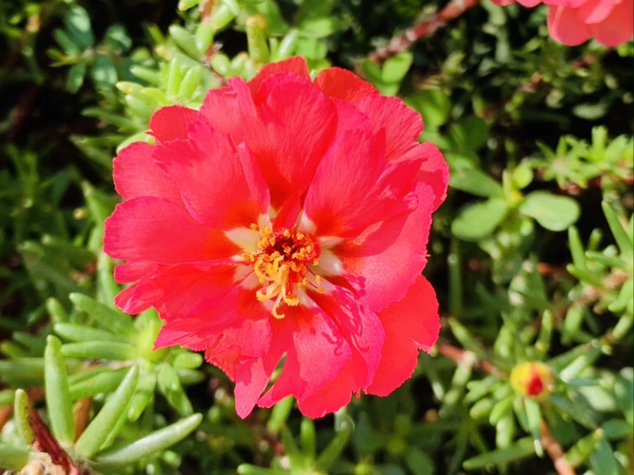 IMG_6683.jpg?type=w966