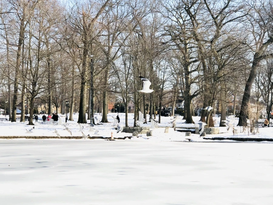 IMG_0271.jpg?type=w966