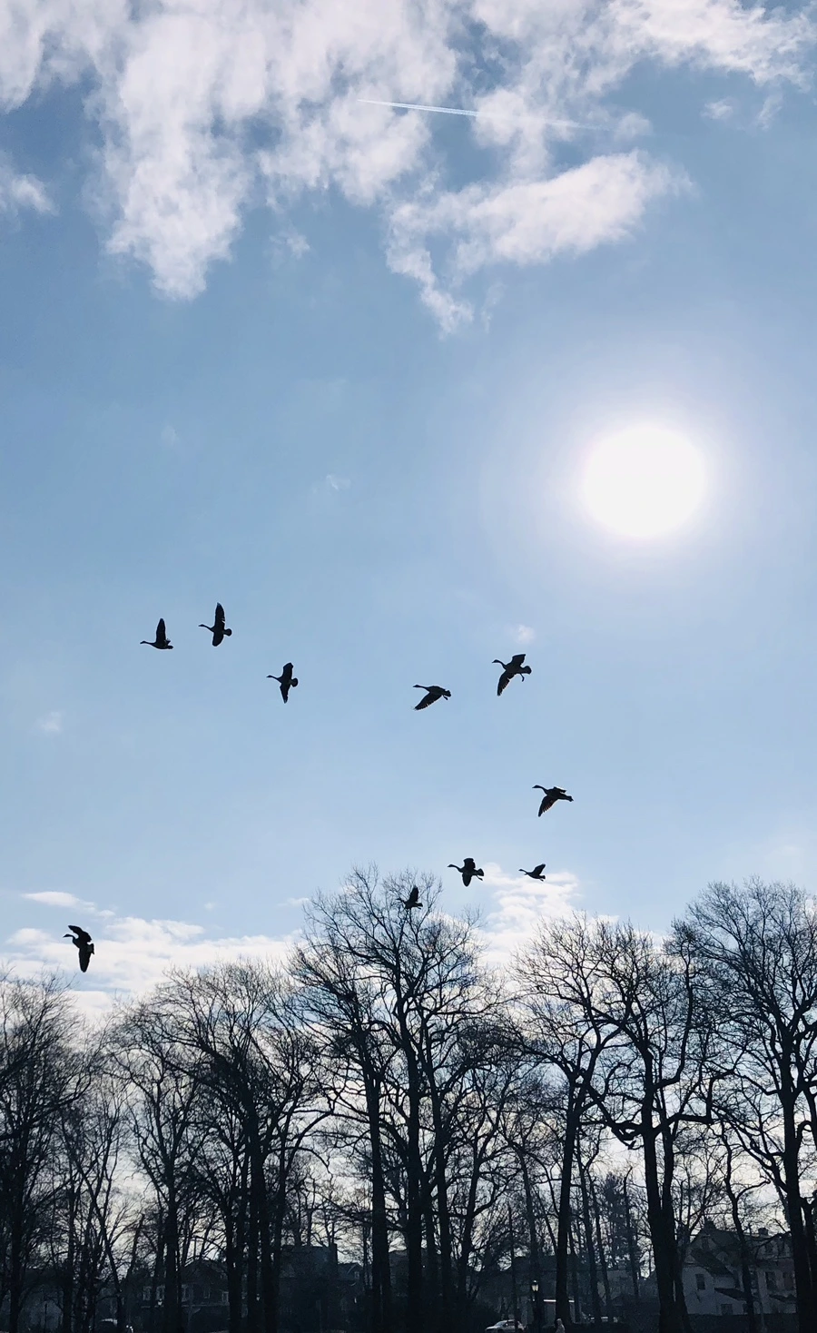 IMG_9261.jpg?type=w966