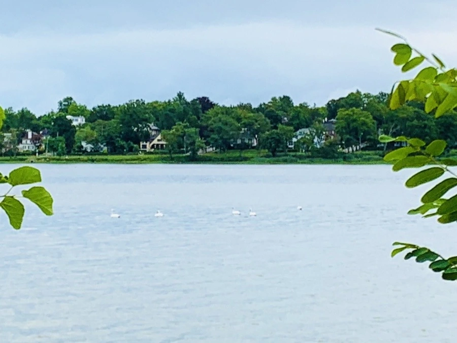 w4Nu0pX7XAmAwT3Ny104RnbFxHs