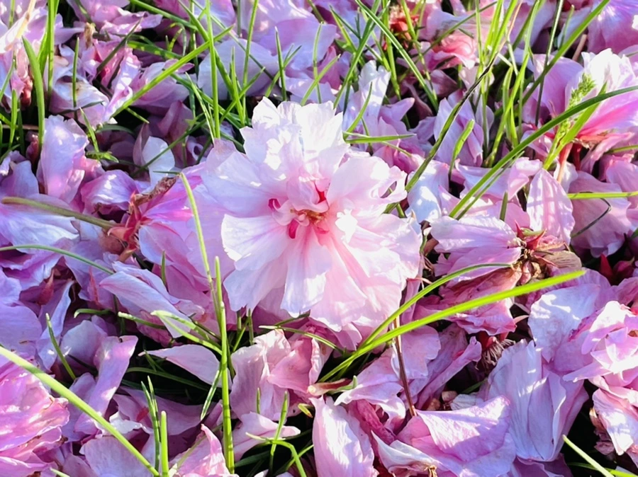 IMG_5899.jpg?type=w966