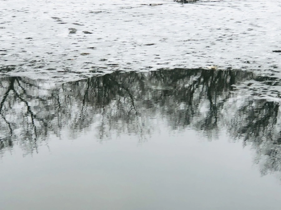 IMG_5495.jpg?type=w966