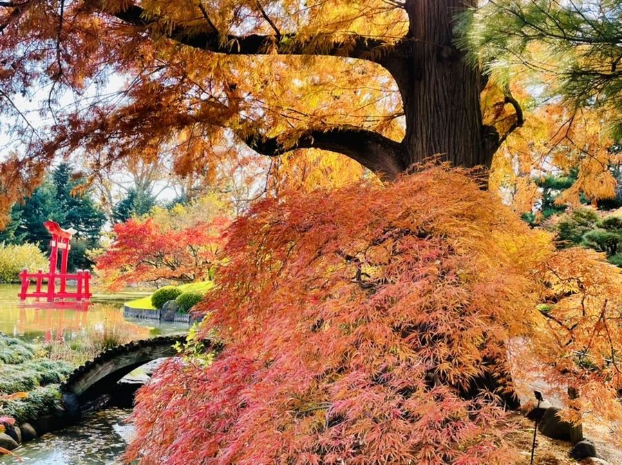 IMG_3095.jpg?type=w966