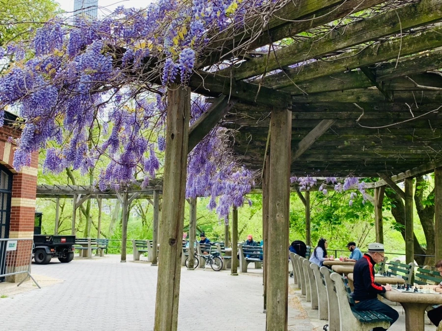 IMG_8767.jpg?type=w966