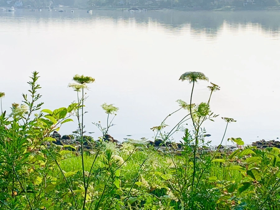 IMG_4385.jpg?type=w966