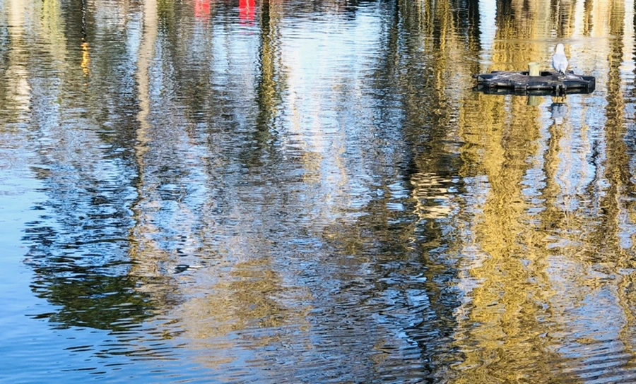 IMG_9769.jpg?type=w966