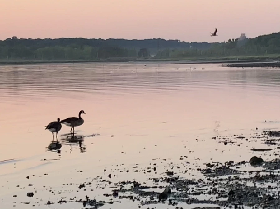 IMG_0095.jpg?type=w966