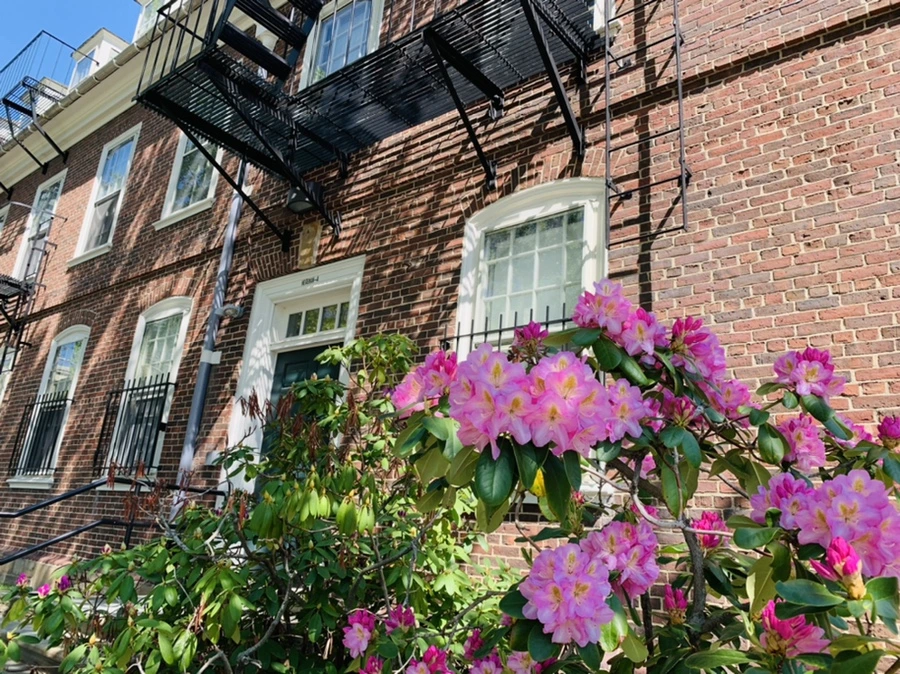 IMG_3097.jpg?type=w966