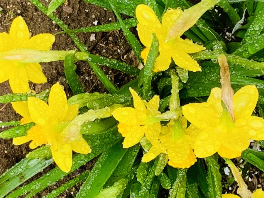 IMG_3749.jpg?type=w966