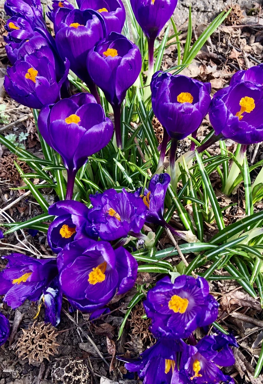 IMG_6024.jpg?type=w966