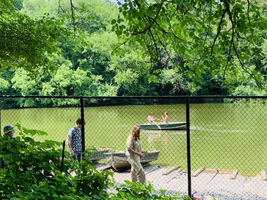 IMG_8603.jpg?type=w966