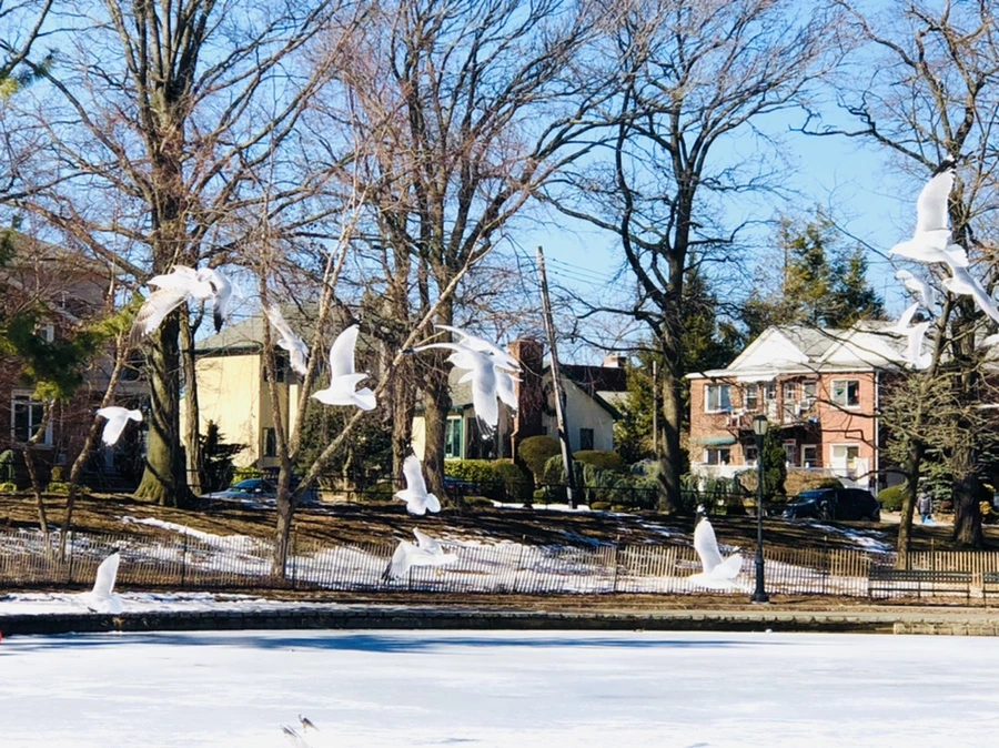 IMG_4750.jpg?type=w966