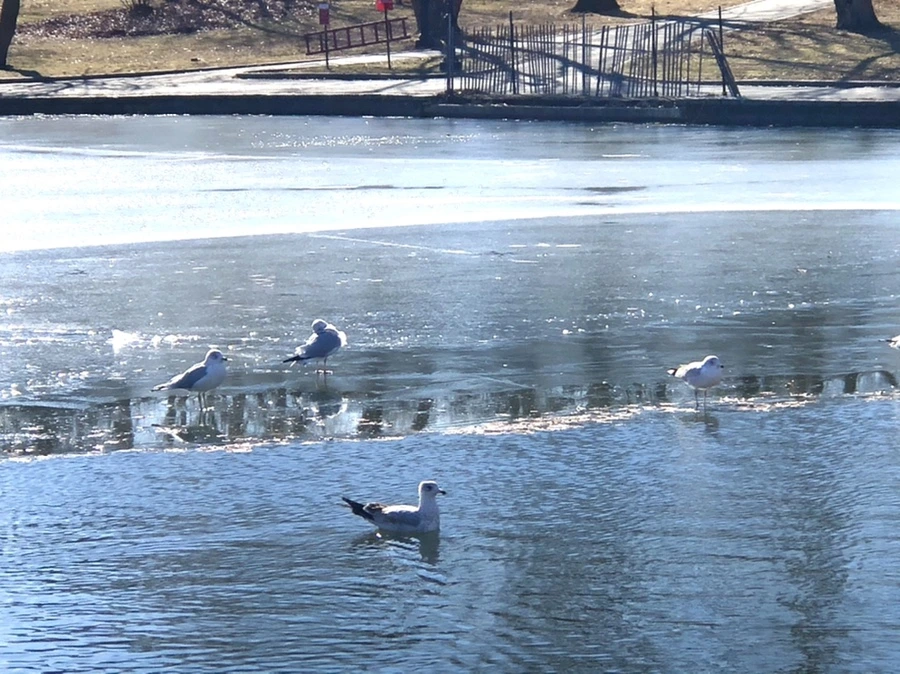 IMG_6804.jpg?type=w966