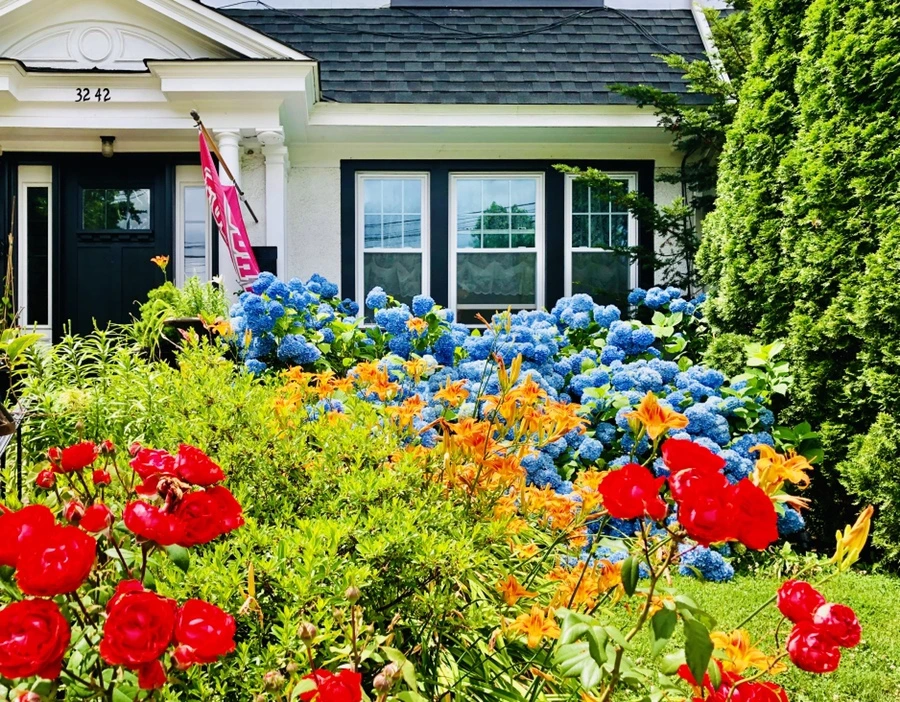 IMG_0921.jpg?type=w966