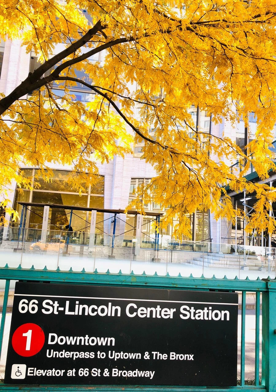 IMG_7571.jpg?type=w966