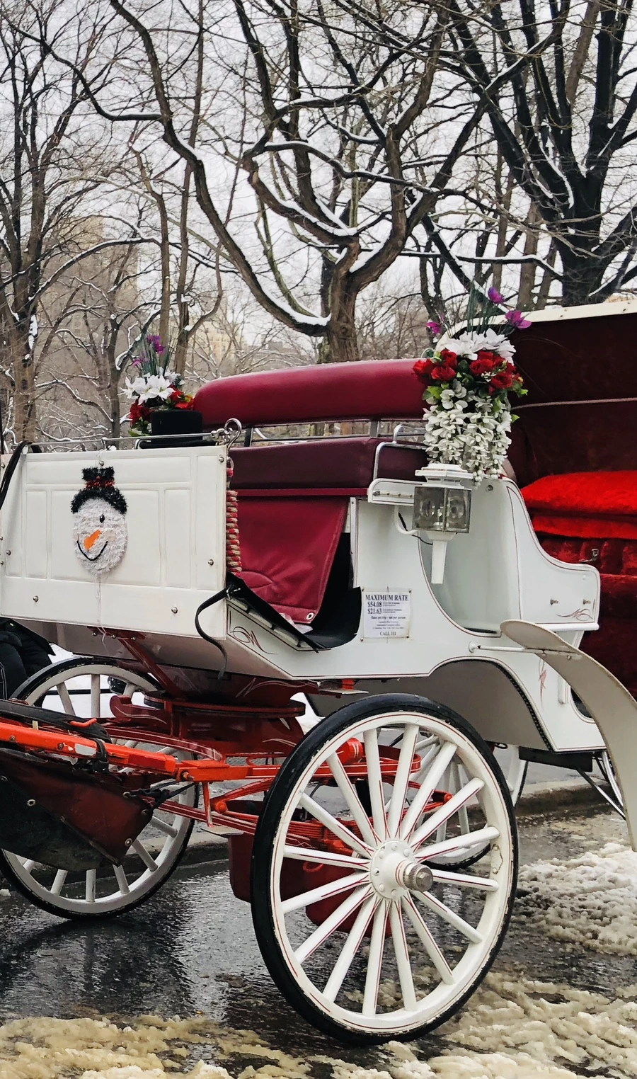 IMG_0368.jpg?type=w966