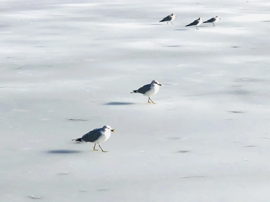 IMG_0324.jpg?type=w966