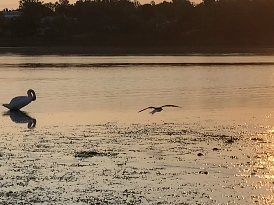 IMG_9614.jpg?type=w966