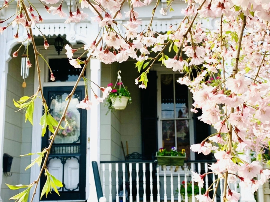 IMG_3709.jpg?type=w966