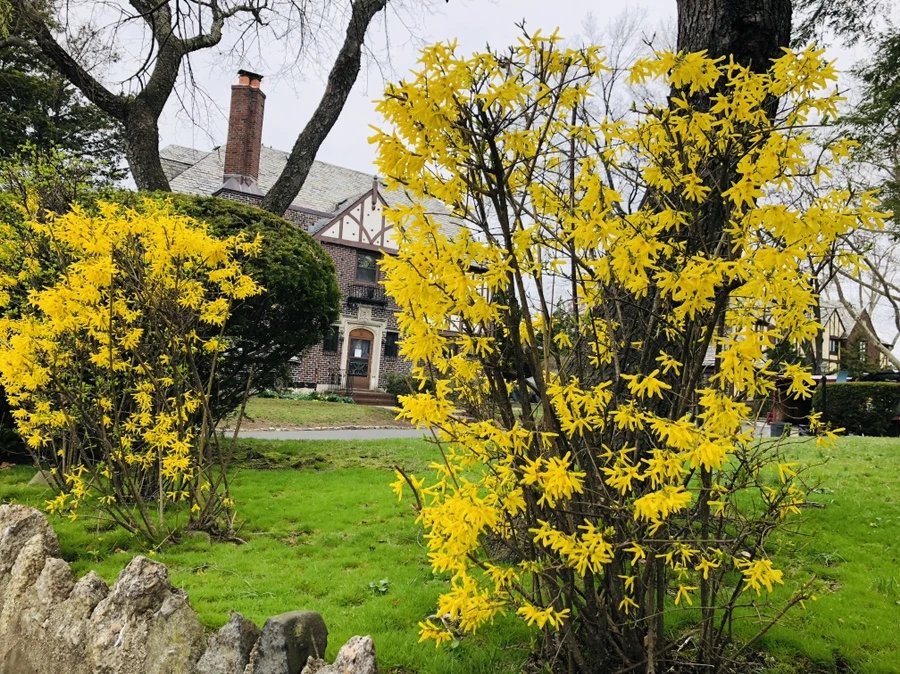 IMG_2617.jpg?type=w966