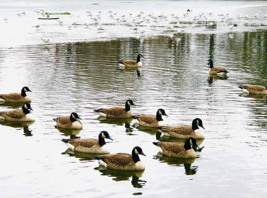 IMG_6450.jpg?type=w966