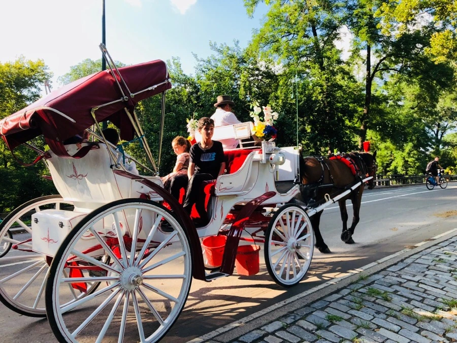 IMG_1051.jpg?type=w966