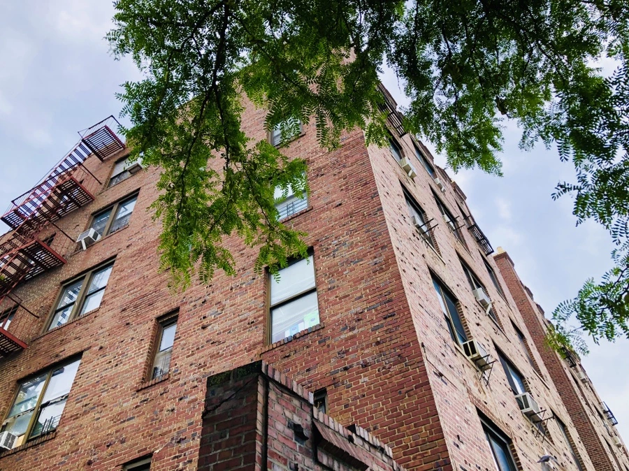 IMG_4202.jpg?type=w966