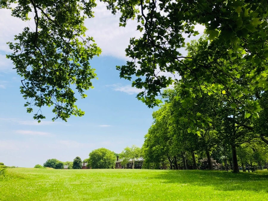 IMG_7412.jpg?type=w966