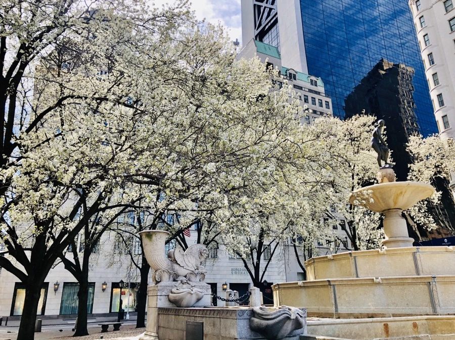 IMG_6672.jpg?type=w966