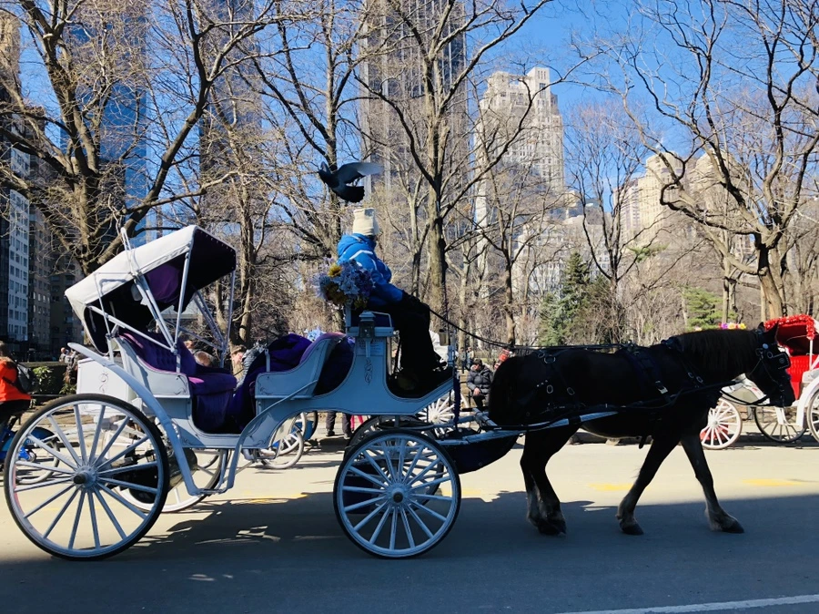 IMG_1176.jpg?type=w966