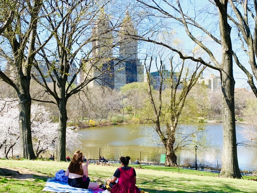 IMG_8955.jpg?type=w966