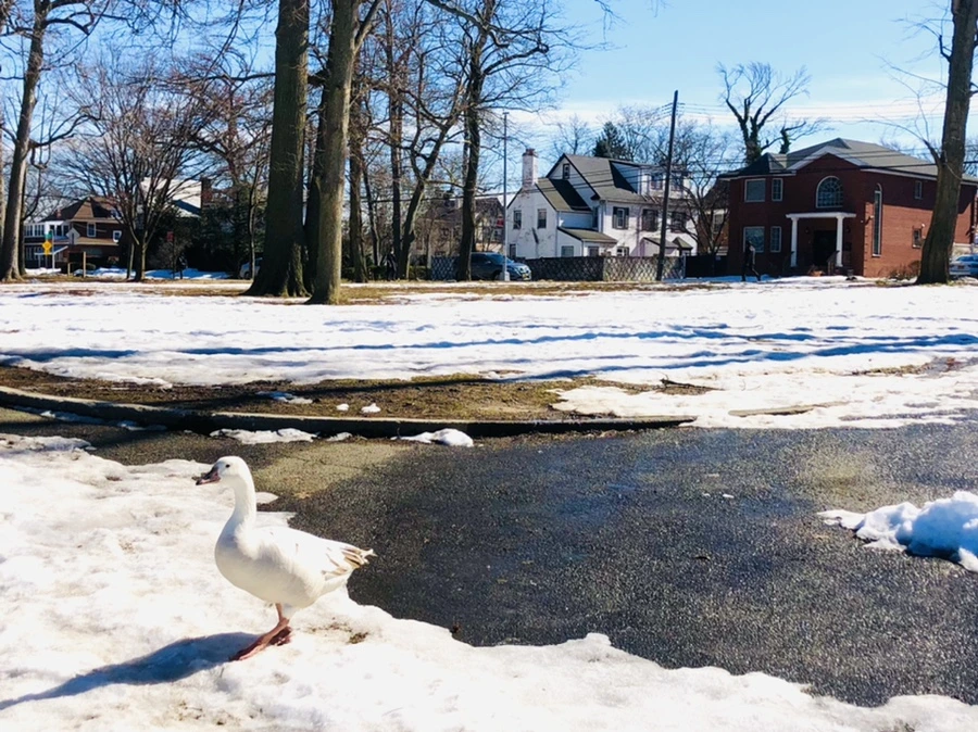 IMG_4939.jpg?type=w966