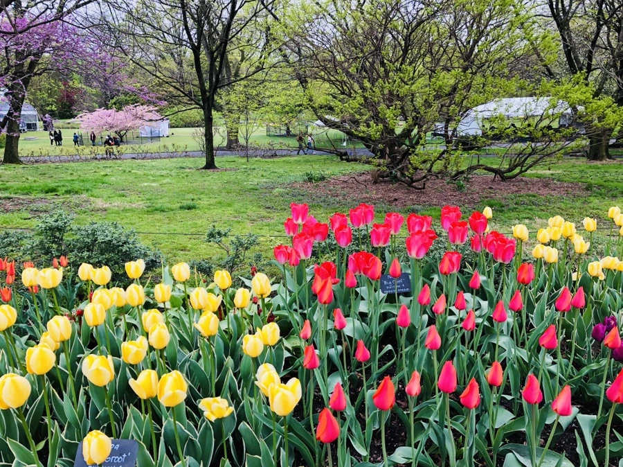 IMG_3734.jpg?type=w966