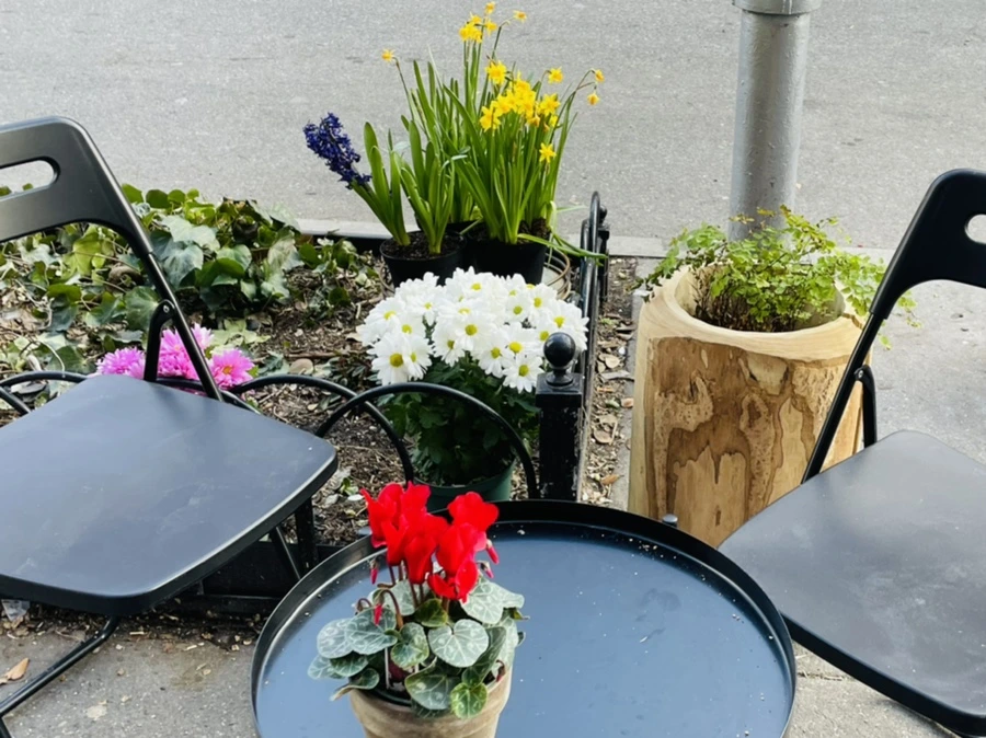 IMG_1816.jpg?type=w966