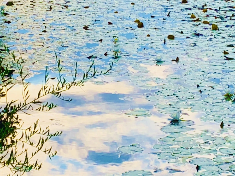 IMG_5842.jpg?type=w966