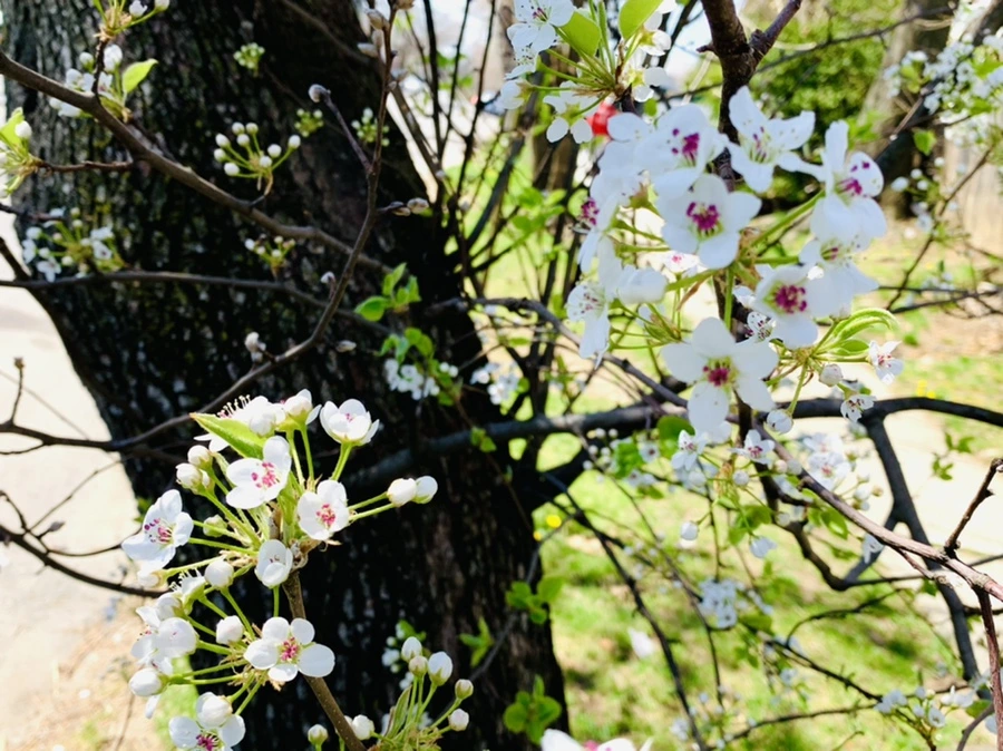 IMG_8587.jpg?type=w966