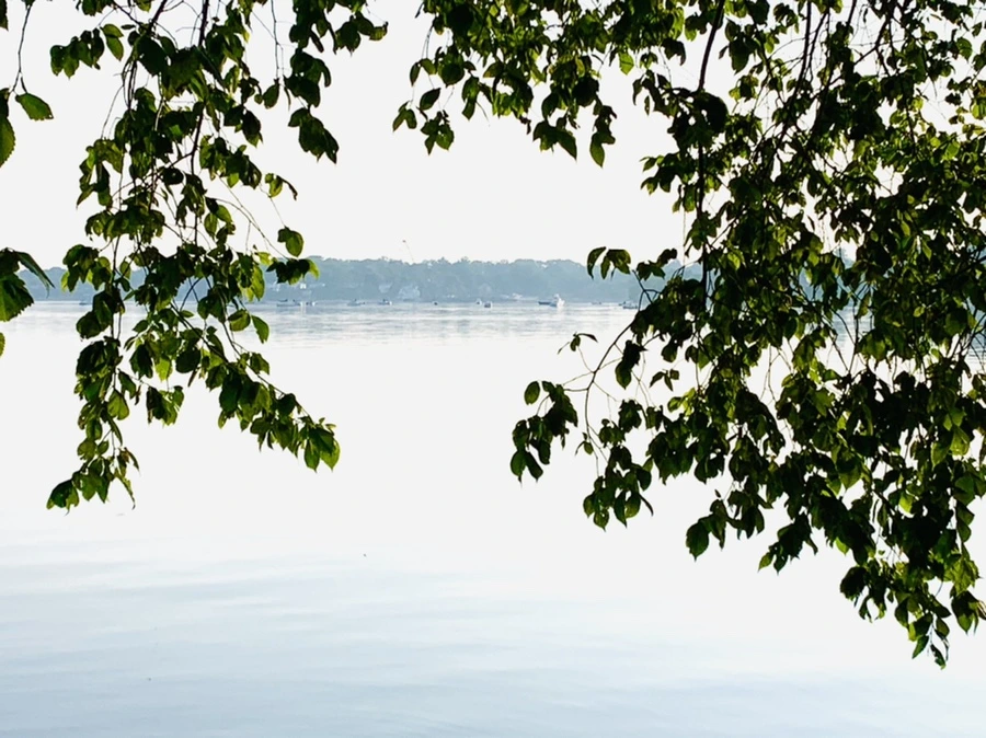 IMG_6543.jpg?type=w966