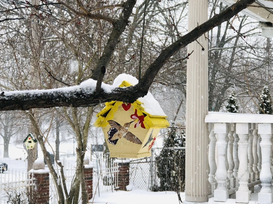 IMG_3347.jpg?type=w966