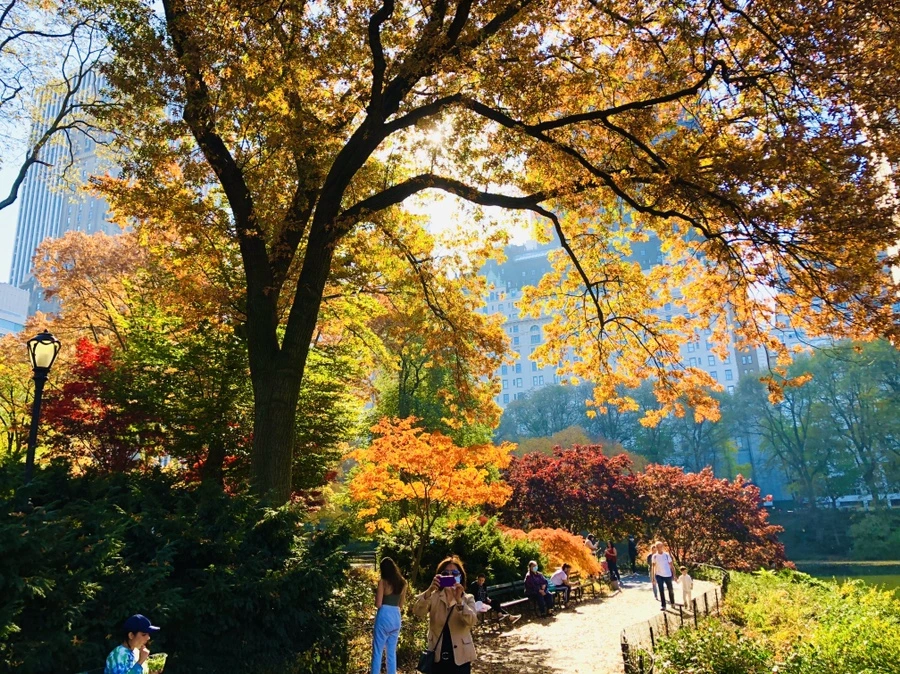 IMG_4227.jpg?type=w966