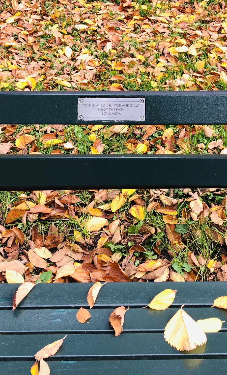 IMG_3015.jpg?type=w966