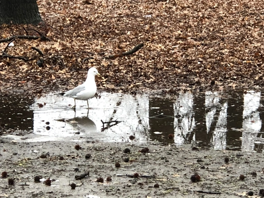 IMG_5684.jpg?type=w966