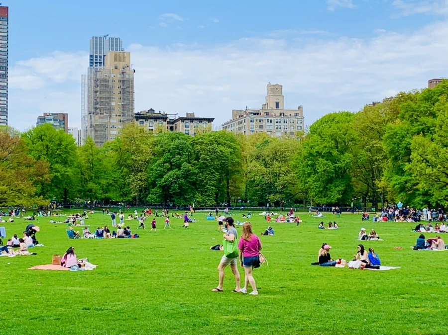 IMG_8784.jpg?type=w966