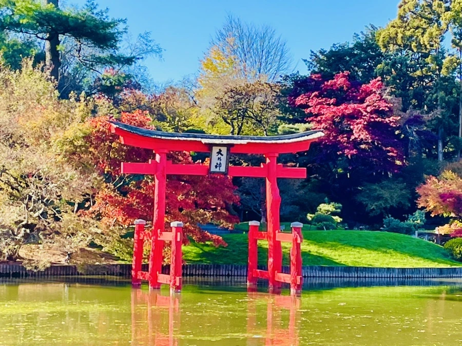 IMG_2032.jpg?type=w966